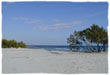 Beach of Cala Ginepro