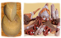 Irgoli  famoso anche per la produzione di salumi e formaggi
