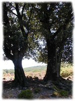 Panorama del Monte Senes